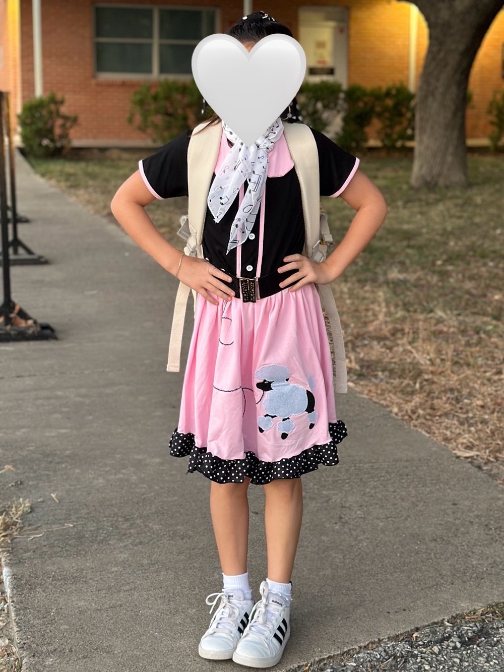 Girls Pink and Black Poodle Applique Casual Dress